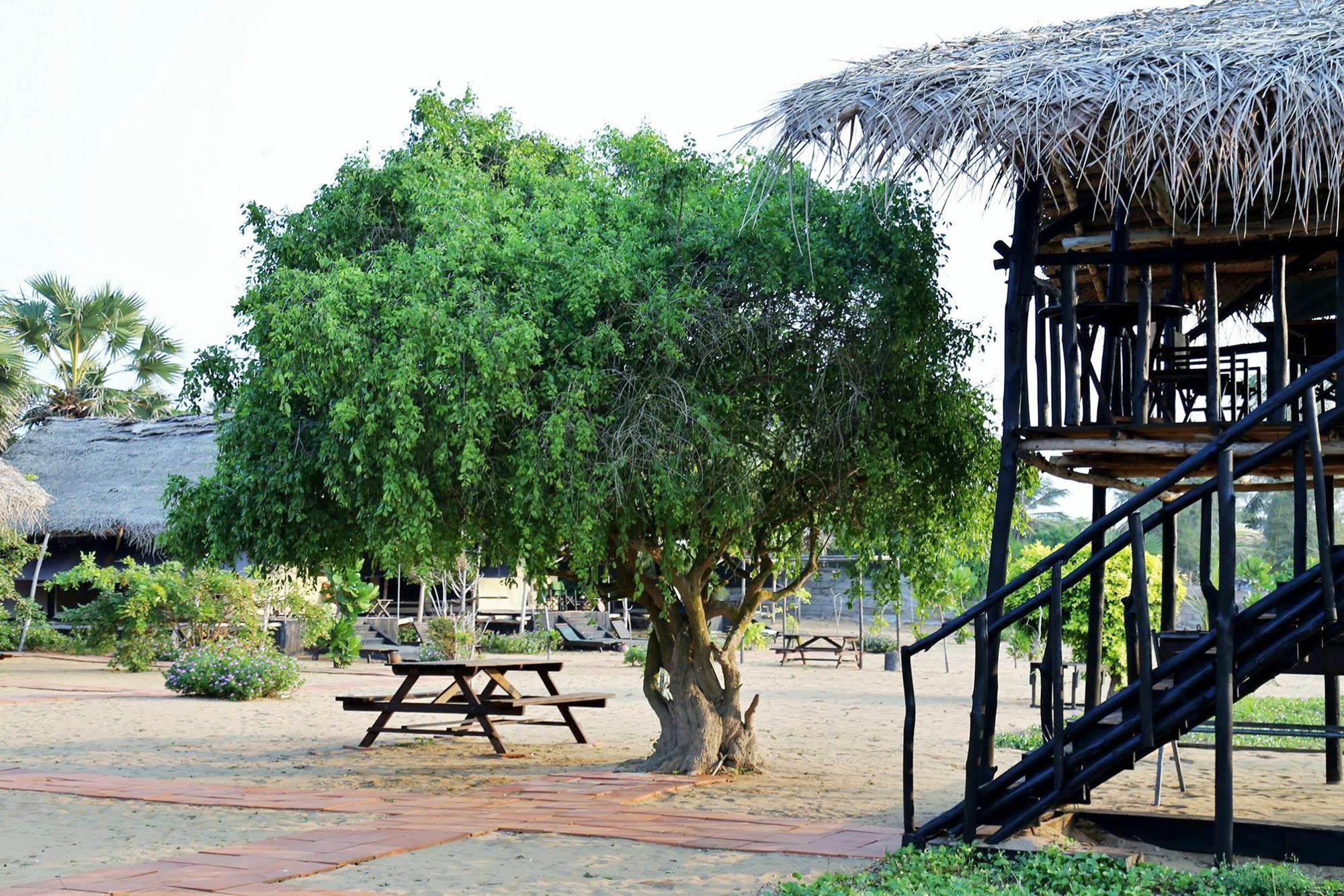 The Beach Camp Yala Kirinda  Eksteriør billede
